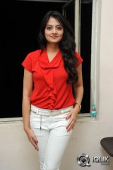 Nikitha Narayan at Ladies and Gentlemen Movie First Look Launch